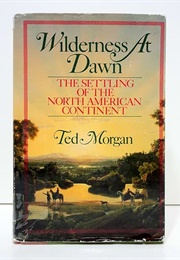Wilderness at Dawn (Morgan)