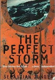 The Perfect Storm (Sebastian Junger)