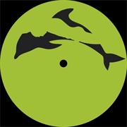 Laurel Halo - Behind the Green Door