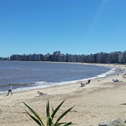 Rambla De Montevideo, Uruguay