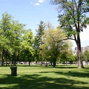 Pioneer Park, Salt Lake City