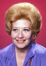 Save the Dog! (1988)