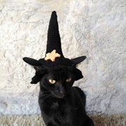 Black Cat in Witches Hat