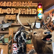 Creation Museum, Taxidermy Hall of Fame, and Antique Tool Museum