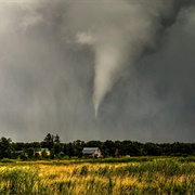 Tornado