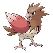 Spearow