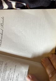 The Earl's Untouched Bride (Annie Burrows)