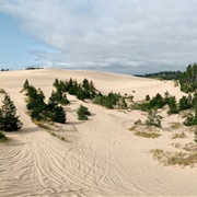Oregon Dunes National Recreation Area
