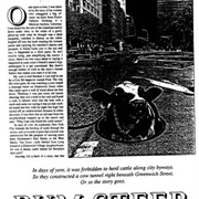 West Side Cow Tunnels (Permanently Closed)