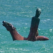 C.Y. O'Connor Horse and Rider