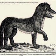 Beast of Gevaudan