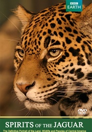 Spirits of the Jaguar (Paul Reddish)