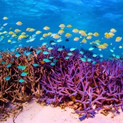 Ningaloo Reef, Australia