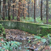 Lodge Moor POW Camp Ruins