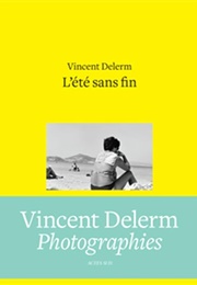 L'été Sans Fin (Vincent Delerm)