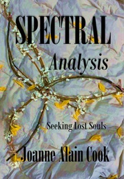 Seeking Lost Souls (Joanna Alain Cook)