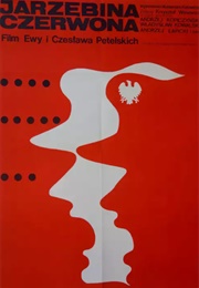 Jarzębina Czerwona (1970)