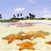 Starfish Point, Cayman Islands