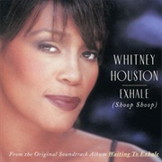 Do You Hear What I Hear - Whitney Houston