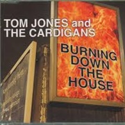 Burning Down the House - Tom Jones & the Cardigans