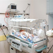 Incubator