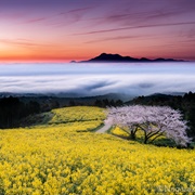 Shirakimine Kogen, Isahaya