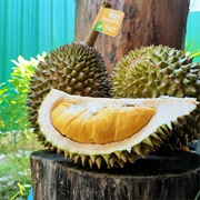 Musang King