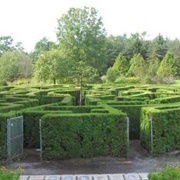 Vandusen Garden's Elizabethan Hedge Maze