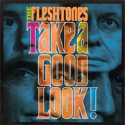 The Fleshtones - Take a Look! (2008)