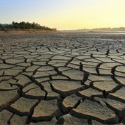 Drought