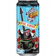 Monster X Vans Warped Tour Water 2022