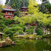 Japanese Tea Garden, USA