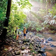 Corcovado, Costa Rica