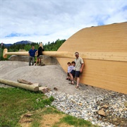 The World's Largest Paddle