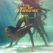 The Age of Pleasure - Janelle Monáe