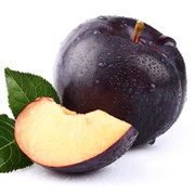 Purple Plum