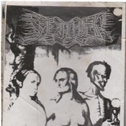 Seidhr - Majesty of Disease