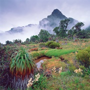 Tasmanian Wilderness, Australia