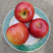 Cripps Red Apple