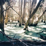 Narawntapu National Park