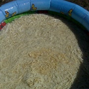 Swim in a Pool of Noodles