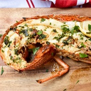 Western Rock Lobster (Panulirus Cygnus)