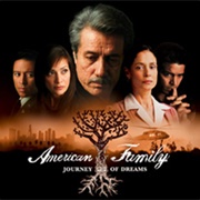 American Family (2002-04)