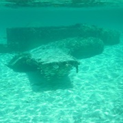 Underwater Plane Wreck Near Staniel Cay