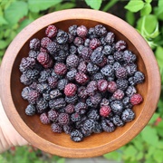 Wild Black Raspberries