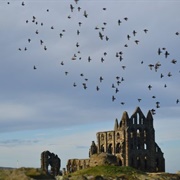 Ruins of Whitby Abbey