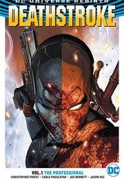 Deathstroke: The Professional (Various)