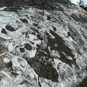 Hamburg Stromatolites
