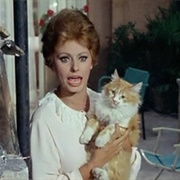 Kitty (Ieri, Oggi, Domani, 1963)