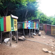 Spice Island Petting Zoo, Grenada